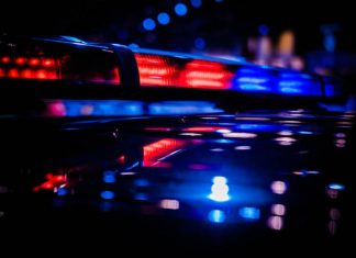 German authorities raid FinFisher offices