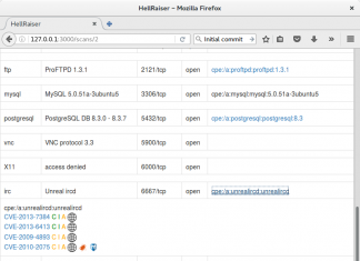 Hellraiser – CVE-Search Vulnerability Scanner