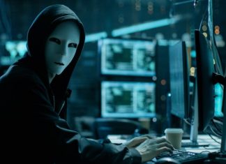 How botnets are evolving: from IoT botnets to Hivenets