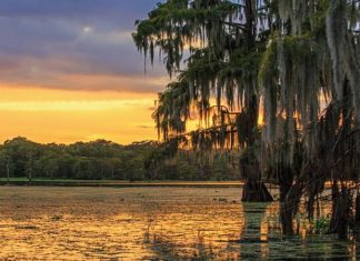 Louisiana Calls Out National Guard to Fight Ransomware Surge
