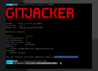 New Gitjacker tool lets you find .git folders exposed online