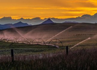 Over 100 irrigation systems left exposed online without a password