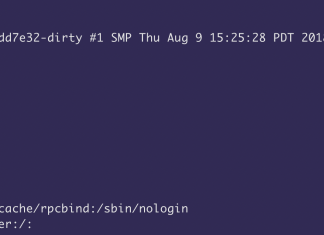Technical Advisory: Pulse Connect Secure – RCE via Uncontrolled Gzip Extraction (CVE-2020-8260)
