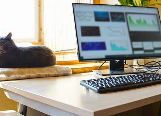 How to Update Your Remote Access Policy – And Why You Should Now