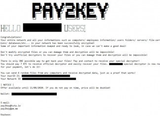 Israeli companies targeted with new Pay2Key ransomware