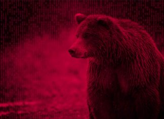 Experts Uncover ‘Crutch’ Russian Malware Used in APT Attacks for 5 Years
