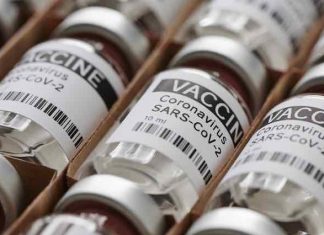 Lazarus Group Hits COVID-19 Vaccine-Maker in Espionage Attack