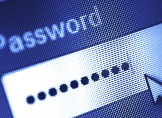 A phishing campaign’s collateral damage: Stolen passwords were publicly searchable