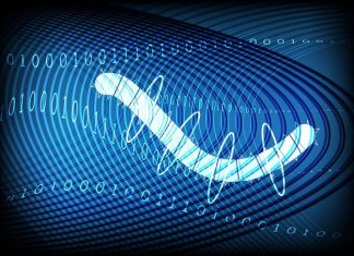 Rocke Group’s Malware Now Has Worm Capabilities