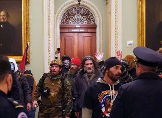 What is Parler and why has it been pulled offline?