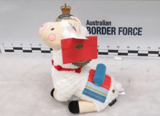 Australian Border Force Seizes Meth Inside a Stuffed Llama