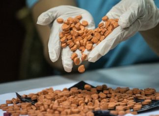 Australian Man Sentenced for Selling Ecstasy on the Darkweb