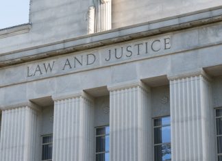 Emotet Takedown Disrupts Vast Criminal Infrastructure; NetWalker Site Offline