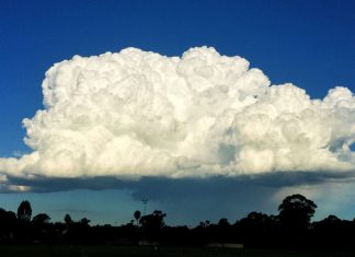 Cloud security firm Qualys reportedly victimized by prolific scammers