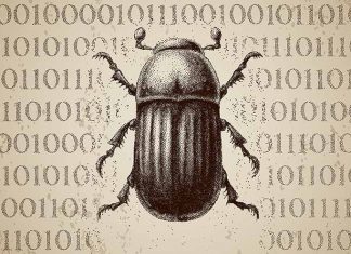 Cybersecurity Bug-Hunting Sparks Enterprise Confidence