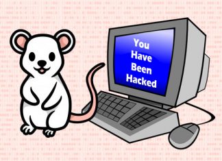 LuckyMouse Hackers Target Banks, Companies and Governments in 2020