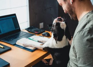 Remote employees might be an easier target for cybercriminals in 2021