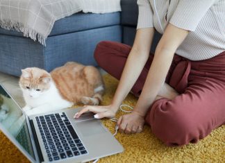 These are the terrible passwords that people are still using. Here’s how to do better