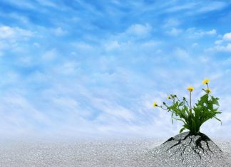 What a Year It’s Been: RSA 2021 Embraces ‘Resilience’