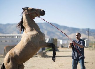Clop Raid: A Big Win in the War on Ransomware?