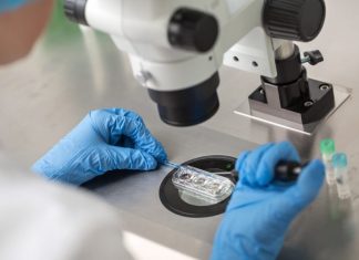 Embryology Data Breach Follows Fertility Clinic Ransomware Hit