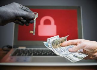 Exclusive Ransomware Poll: 80% of Victims Don’t Pay Up