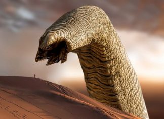 Indexsinas SMB Worm Campaign Infests Whole Enterprises