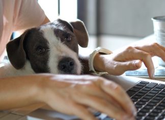 Remote employees pay $111 monthly for work-related cybersecurity – report