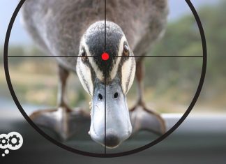 What’s Making Your Company a Ransomware Sitting Duck