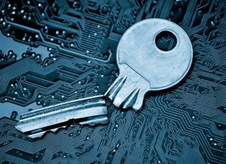 CISA’s Top 30 Bugs: One’s Old Enough to Buy Beer