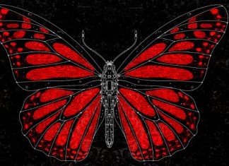 EP 94: Mariposa Botnet