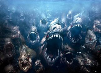 Podcast: IoT Piranhas Are Swarming Industrial Controls