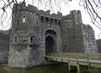 Fortress Home Security Open to Remote Disarmament