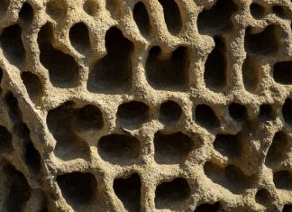 HolesWarm Malware Exploits Unpatched Windows, Linux Servers