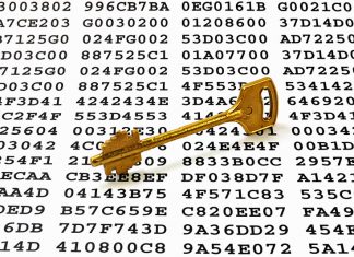 Ragnarok Ransomware Gang Bites the Dust, Releases Decryptor