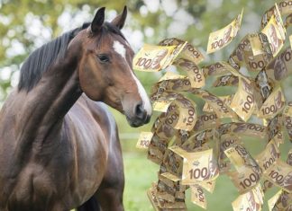 GriftHorse Money-Stealing Trojan Takes 10M Android Users for a Ride
