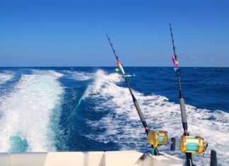 Hackers Are Going ‘Deep-Sea Phishing,’ So What Can You Do About It?
