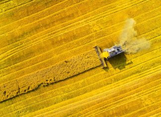 CISA says BlackMatter ransomware group behind recent attacks on agriculture companies