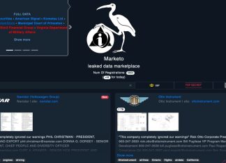 ‘Yes, we are breaking the law:’ An interview with the operator of a marketplace for stolen data