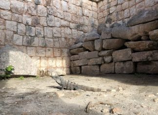 EoL Systems Stonewalling Log4j Fixes for Fed Agencies