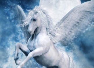 NSO Group Pegasus Spyware Aims at Finnish Diplomats