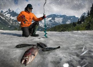 Exchange Servers Speared in IcedID Phishing Campaign