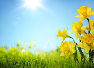 RCE Bug in Spring Cloud Could Be the Next Log4Shell, Researchers Warn