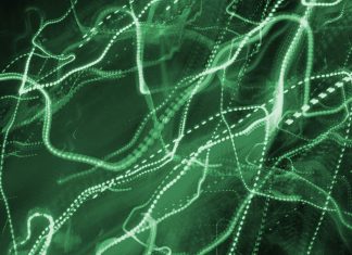 Waiting for the Bears to come out. APT41 hits US state governments. A surge in mobile malware, and a look at yesterday’s Patch Tuesday.