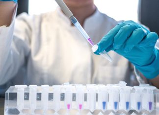Lazarus Group Behind $540 Million Axie Infinity Crypto Hack and Attacks on Chemical Sector
