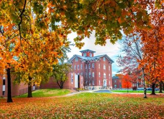 Century-old university shuts down over ransomware attack