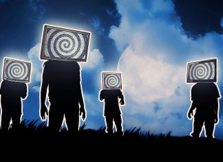 Fronton IOT Botnet Packs Disinformation Punch