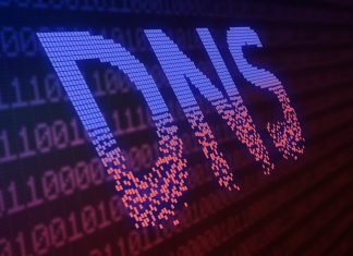 Unpatched DNS Bug Puts Millions of Routers, IoT Devices at Risk