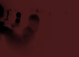 Malibot info stealer is no coin miner. “Hermit” spyware. Fabricated evidence in Indian computers. FBI takes down botnet. Assange extradition update. Putting the Service into service learning.