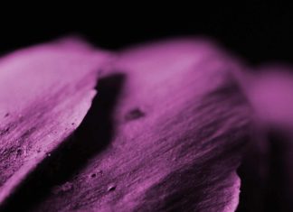 Cyberespionage against belligerents’ industry. Tornado Cash sanctions. Data breaches at Twilio and Klayvio. Intercept tools and policies in Canada.